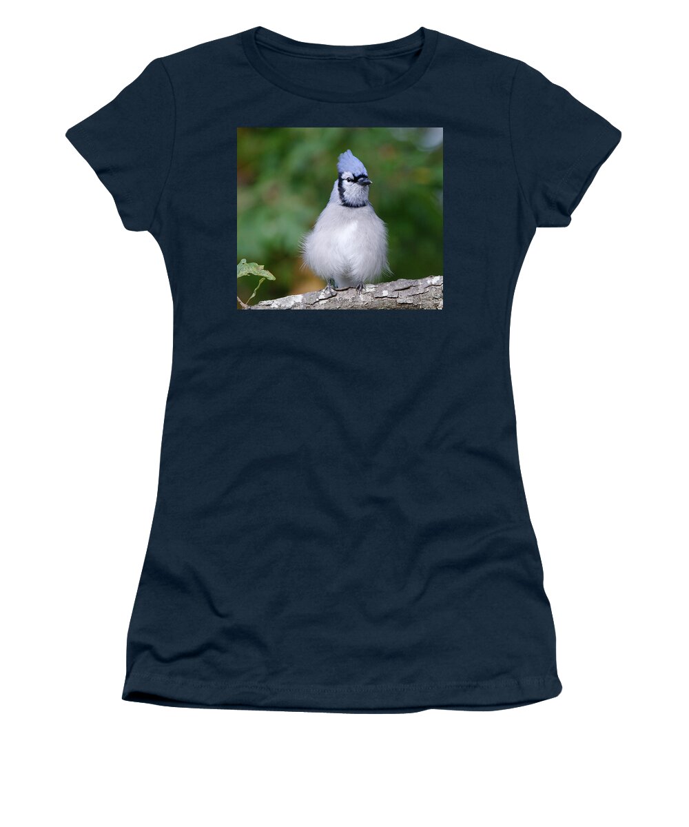 Blue Jay Women's T-Shirt featuring the photograph Blue Jay #5 by Diane Giurco