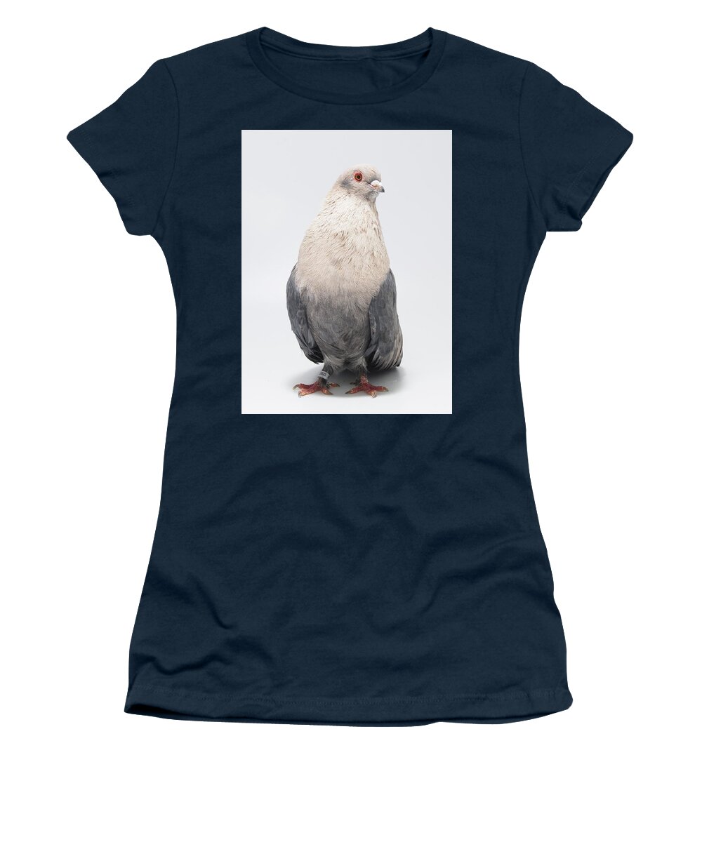 Pigeon Women's T-Shirt featuring the photograph Egyptian Swift Kazghndy Pigeon by Nathan Abbott