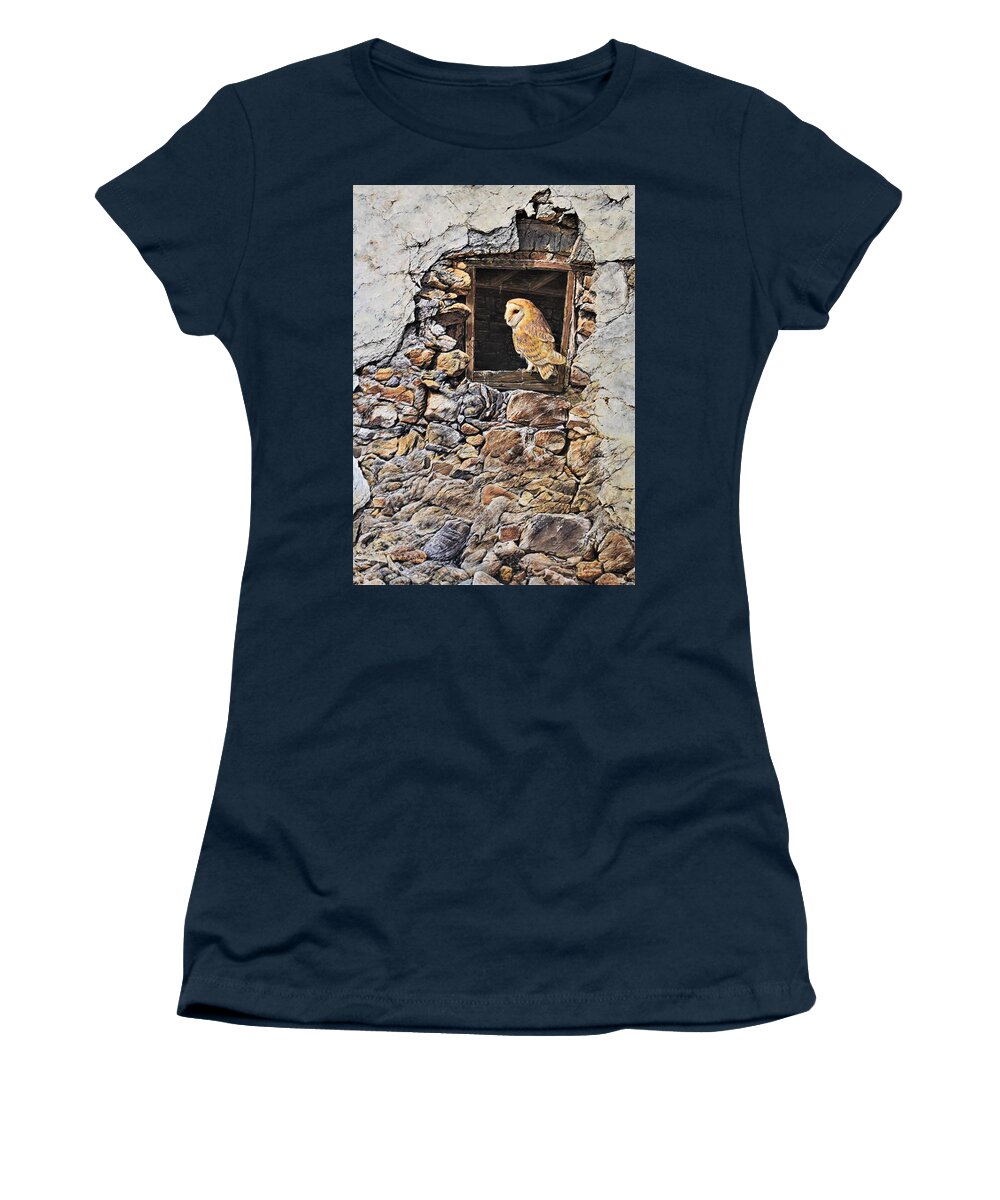 Barn Owl Women's T-Shirt featuring the painting A New Home Barn Owl by Alan M Hunt