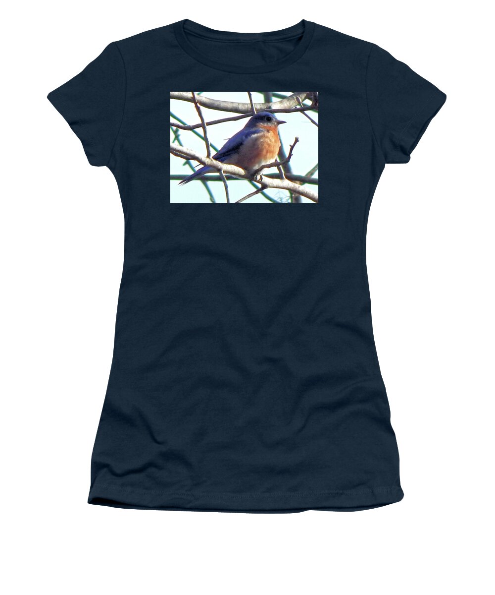 Birds Women's T-Shirt featuring the photograph A Perfect Pose by Karen Stansberry