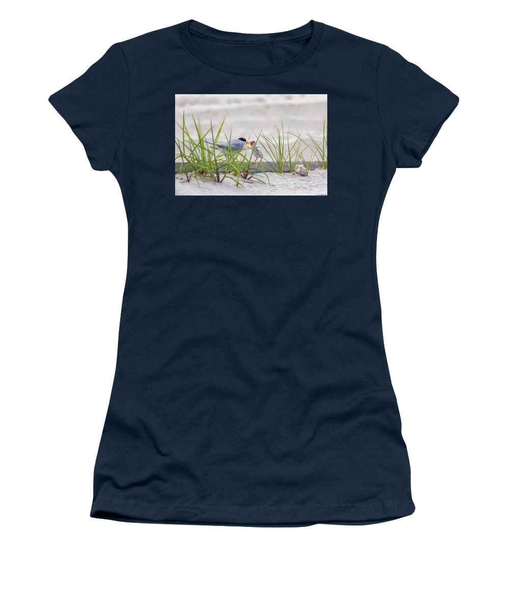 Baby Birds Women's T-Shirt featuring the photograph A Quick Feeding by Susan Rissi Tregoning