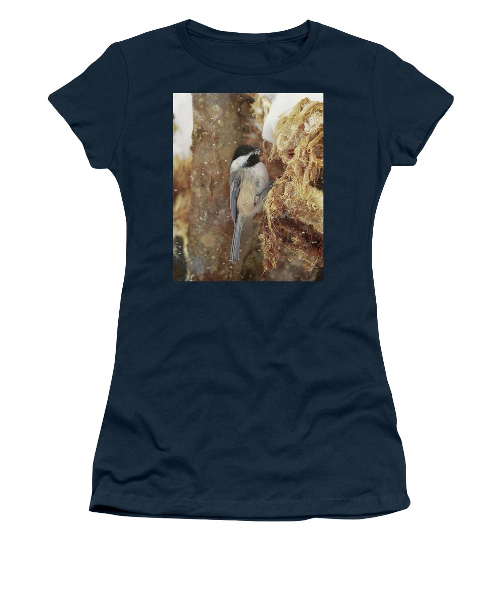 Black Capped Chickadee Women's T-Shirt featuring the photograph A Snowy Chickadee by Susan Rissi Tregoning