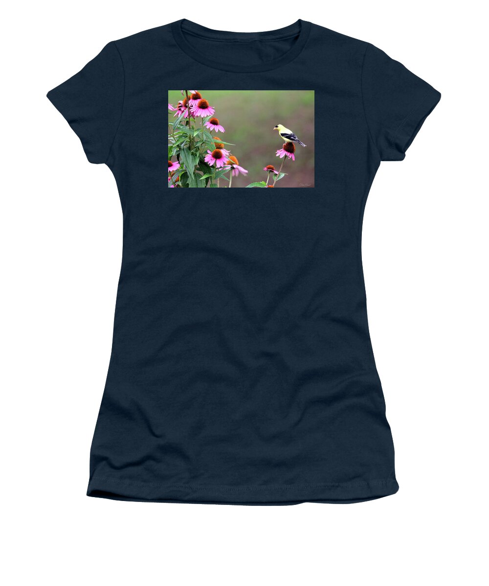 Nature Women's T-Shirt featuring the photograph American Goldfinch on the Coneflowers by Trina Ansel