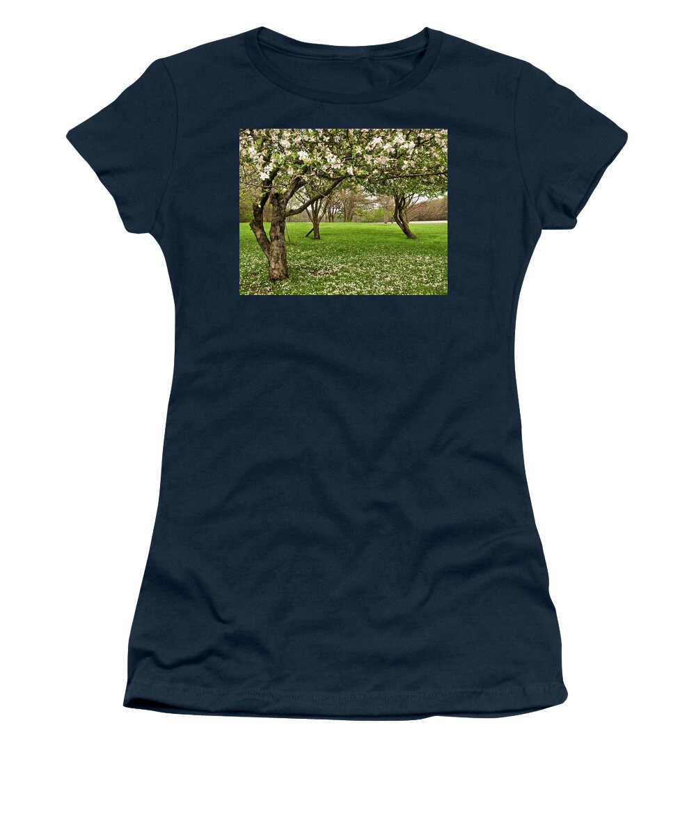 Spring Women's T-Shirt featuring the photograph Apple Orchard by Minnie Gallman