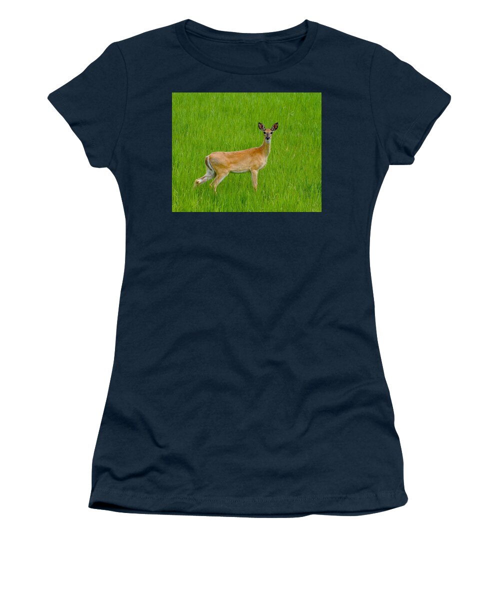 Deer Women's T-Shirt featuring the photograph Are You Talking to Me? by Susan Rydberg