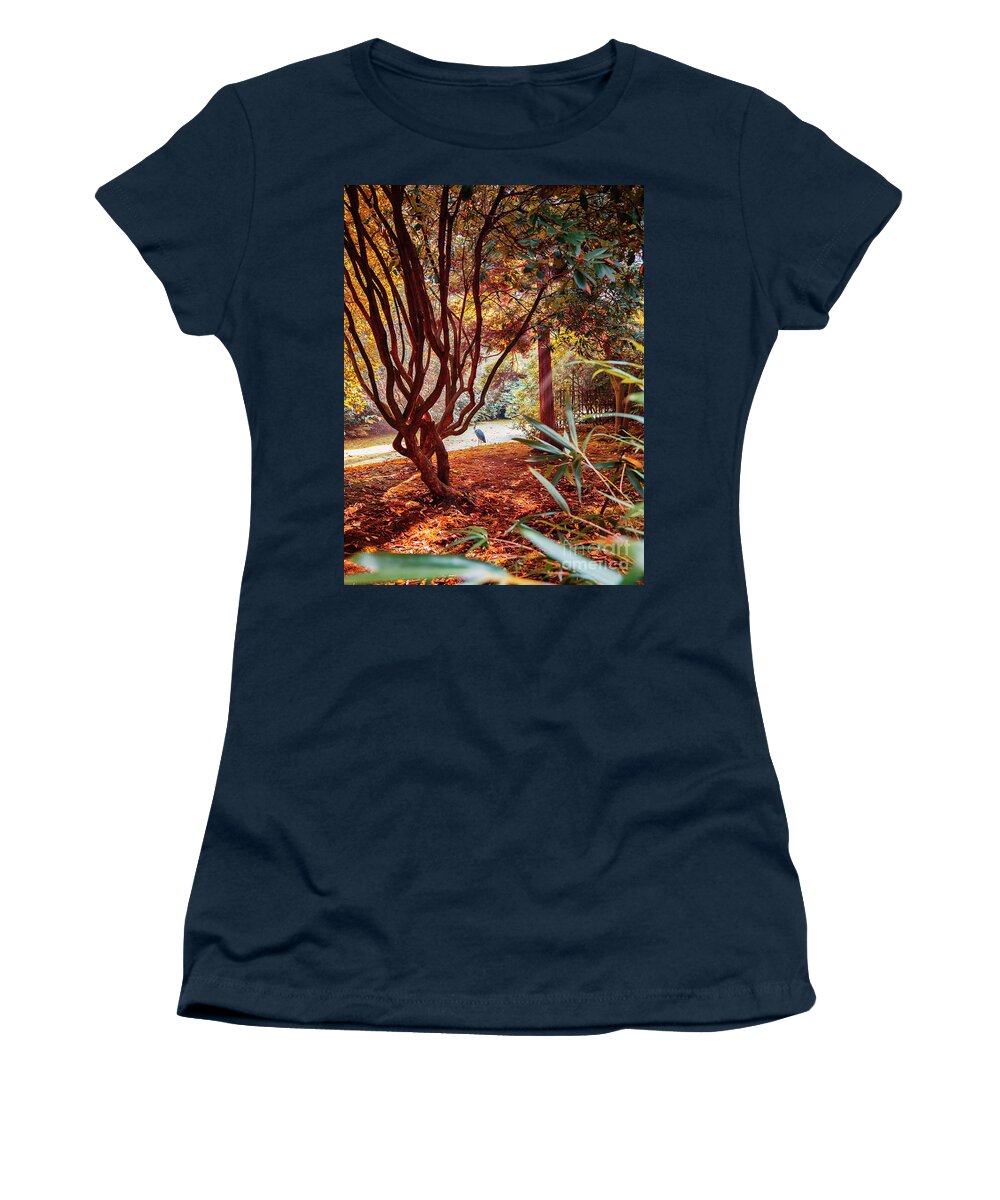Asian Women's T-Shirt featuring the photograph autumn and stork in Japanese park by Ariadna De Raadt