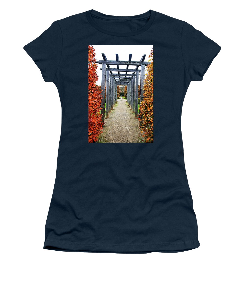Beech Trees Women's T-Shirt featuring the photograph Autumn Arbor by Debbie Oppermann