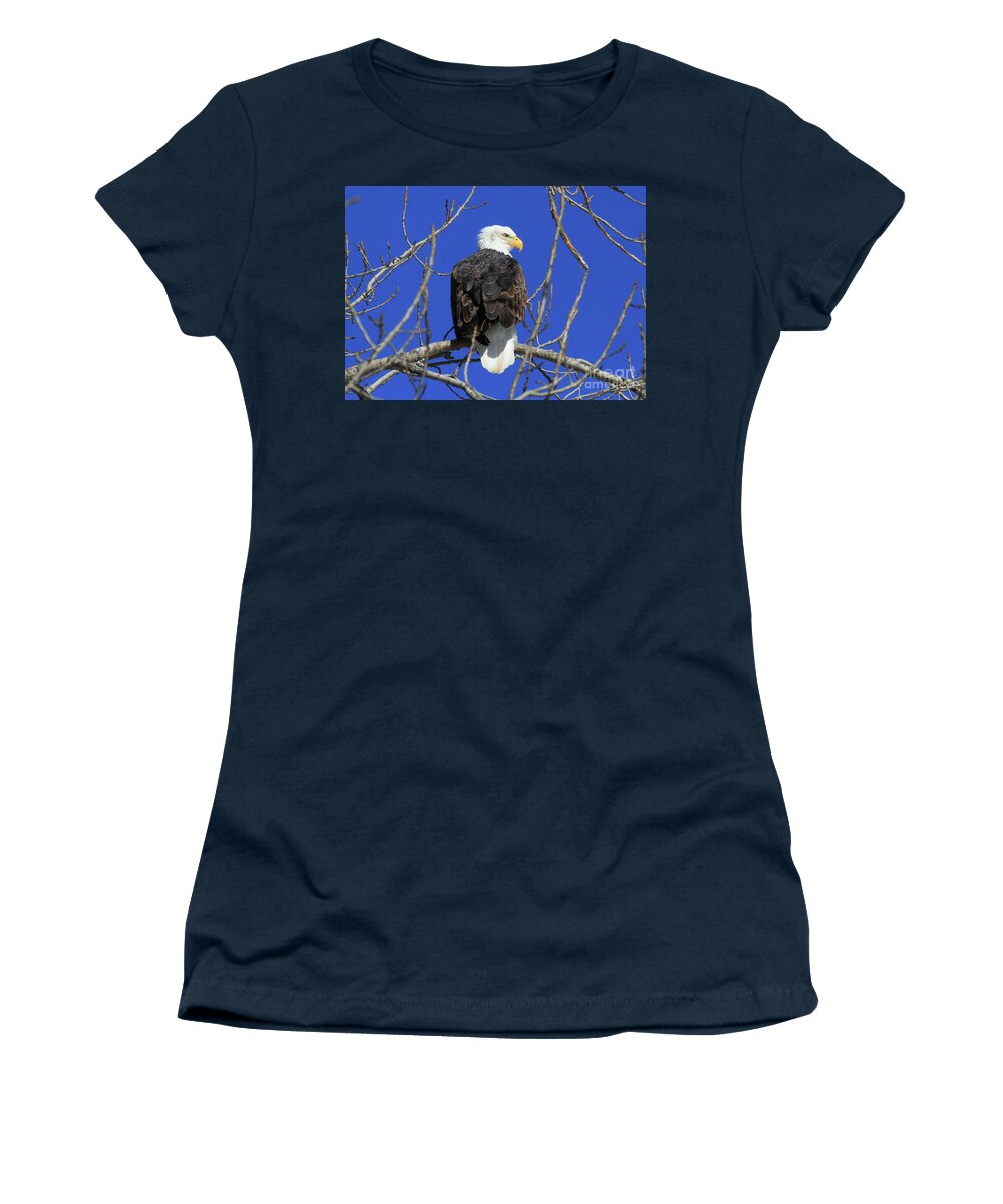 Eagle Women's T-Shirt featuring the photograph Bald Eagle and Blue Sky by Paula Guttilla