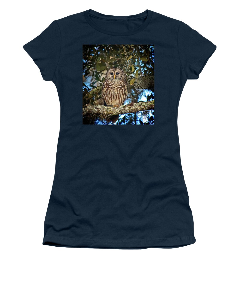 Bird Women's T-Shirt featuring the photograph Barred Owl 1 by Steve DaPonte