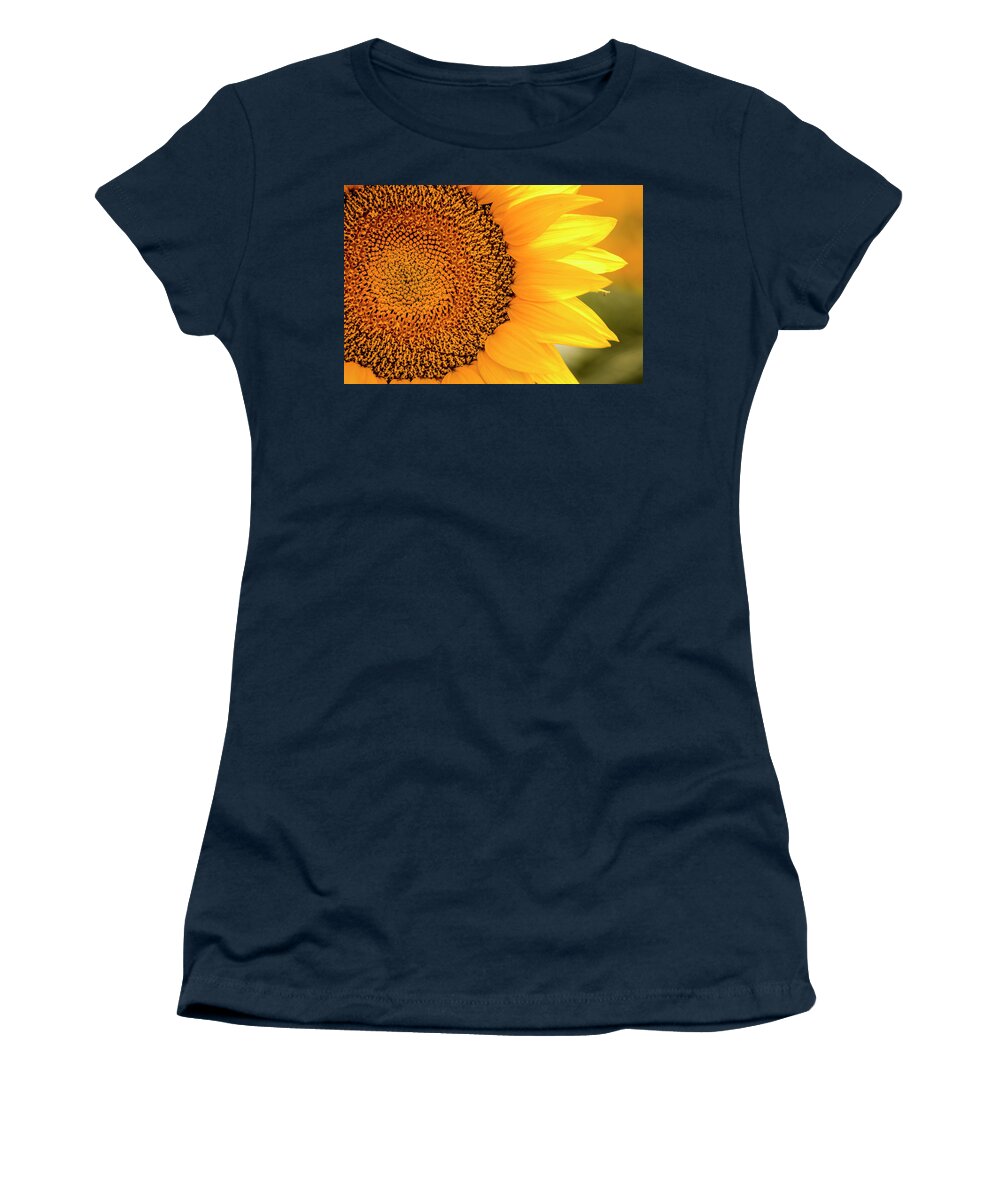 Colorado Women's T-Shirt featuring the photograph Beautiful Sunlit Sunflower Bloom by Teri Virbickis