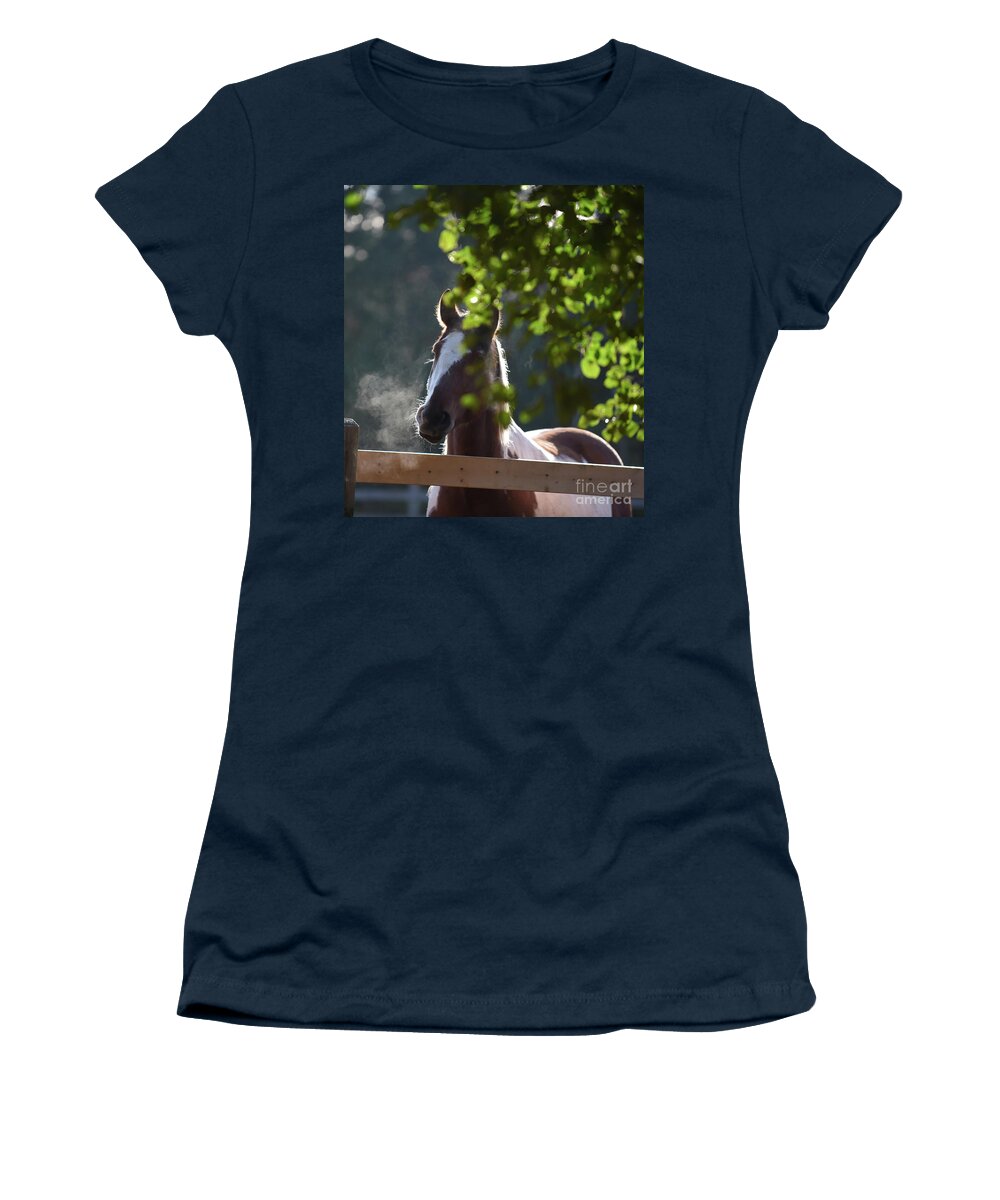 Rosemary Farm Women's T-Shirt featuring the photograph Behr by Carien Schippers
