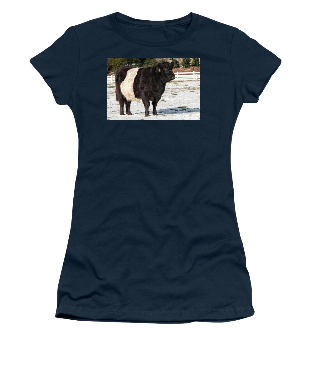 Belties Women's T-Shirt featuring the photograph Beltie in Winter by Minnie Gallman