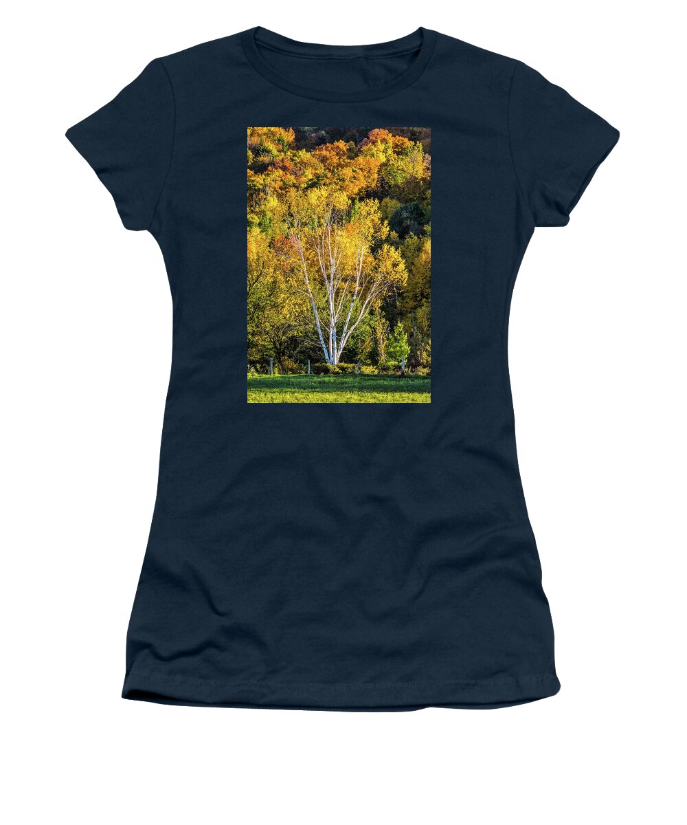 Birch Tree Women's T-Shirt featuring the photograph Birch Tree in the Fall Sun by Peggy Blackwell