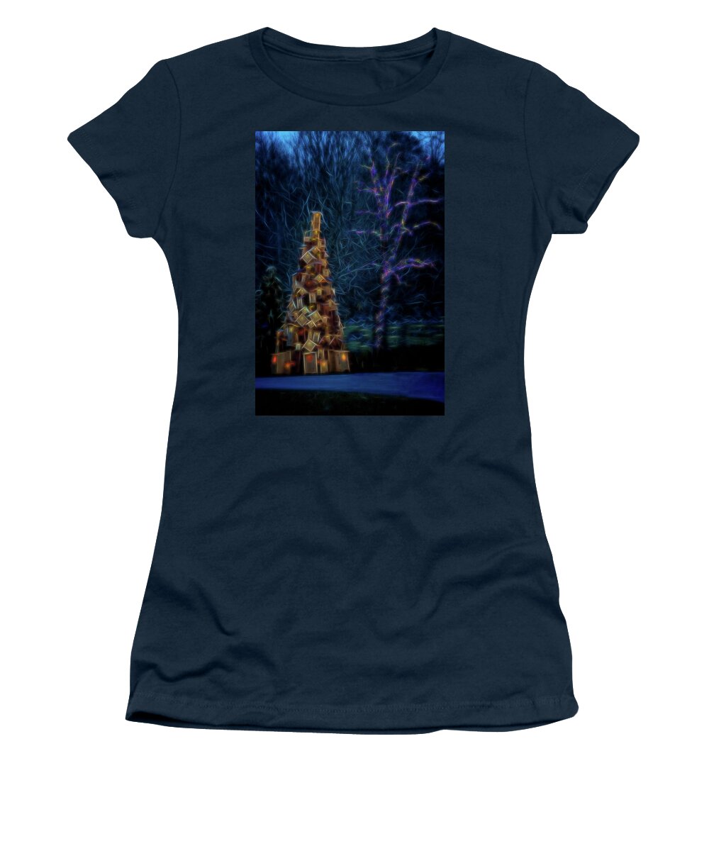 Rose Tree Park Media Pennsylvania Women's T-Shirt featuring the photograph Birdhouse Tree by Tom Singleton