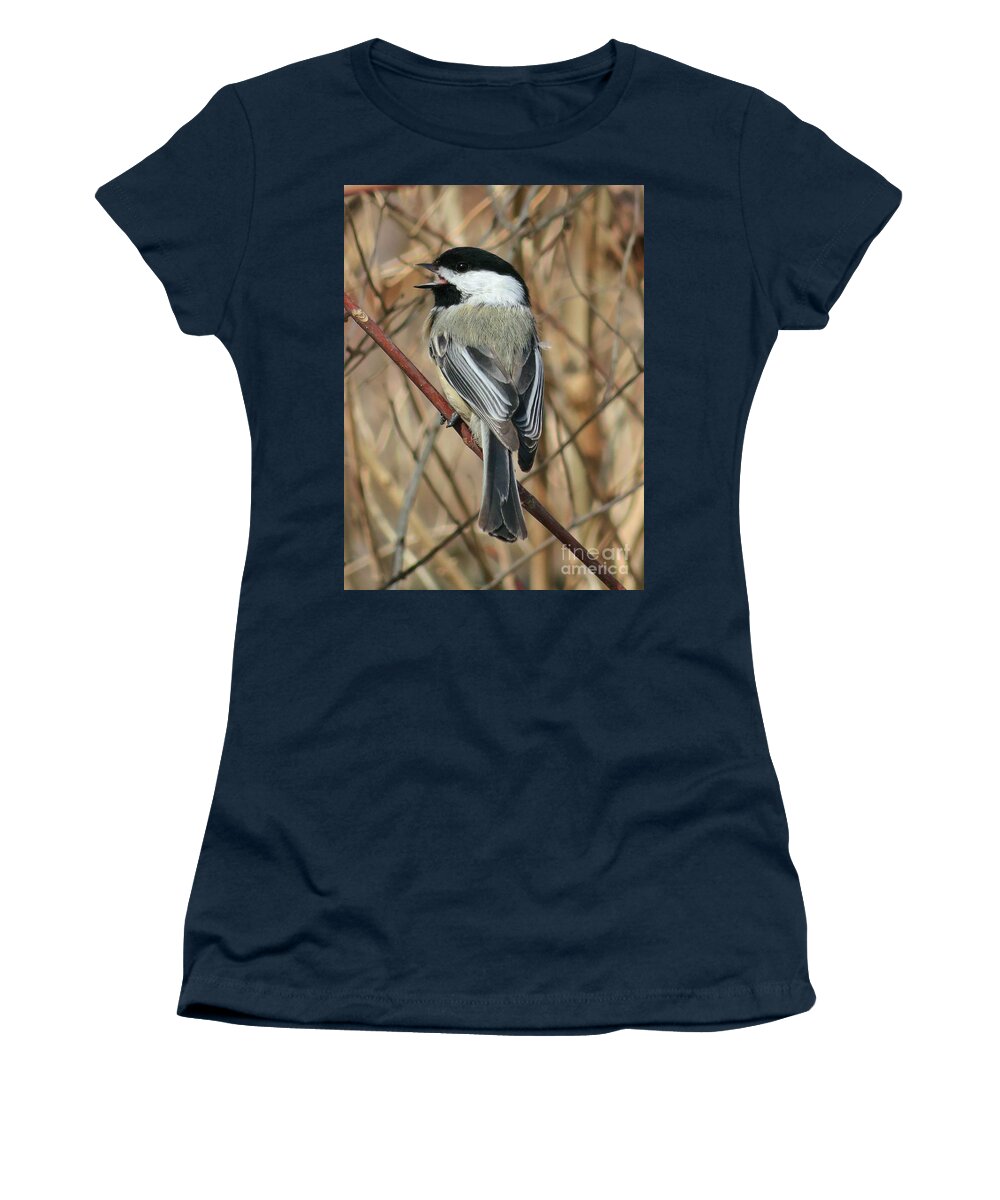 Bird Women's T-Shirt featuring the photograph Black Capped Chickadee by Diana Rajala