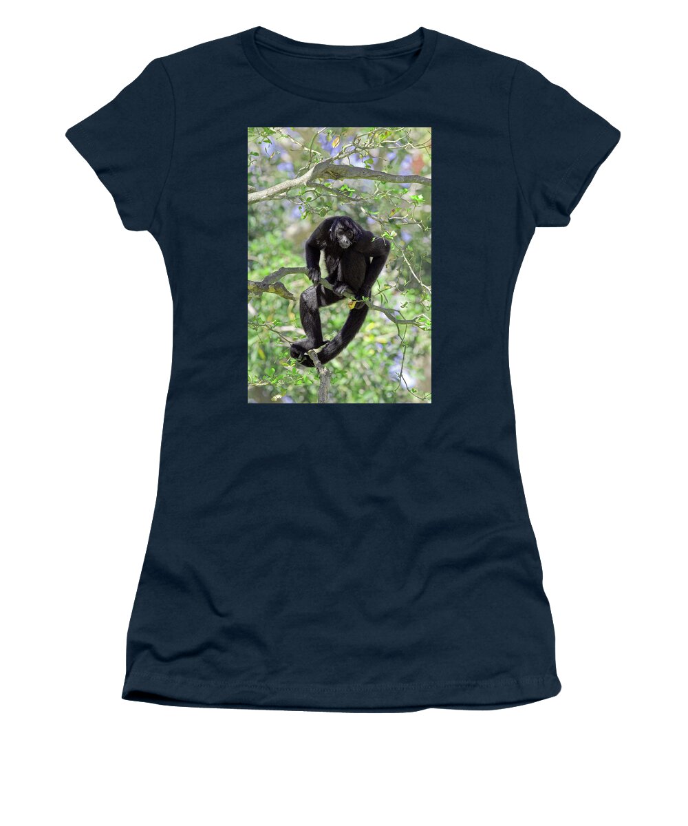 Jenniferrobin.gallery Women's T-Shirt featuring the photograph BLACK HANDED ACROBAT-cr by Jennifer Robin