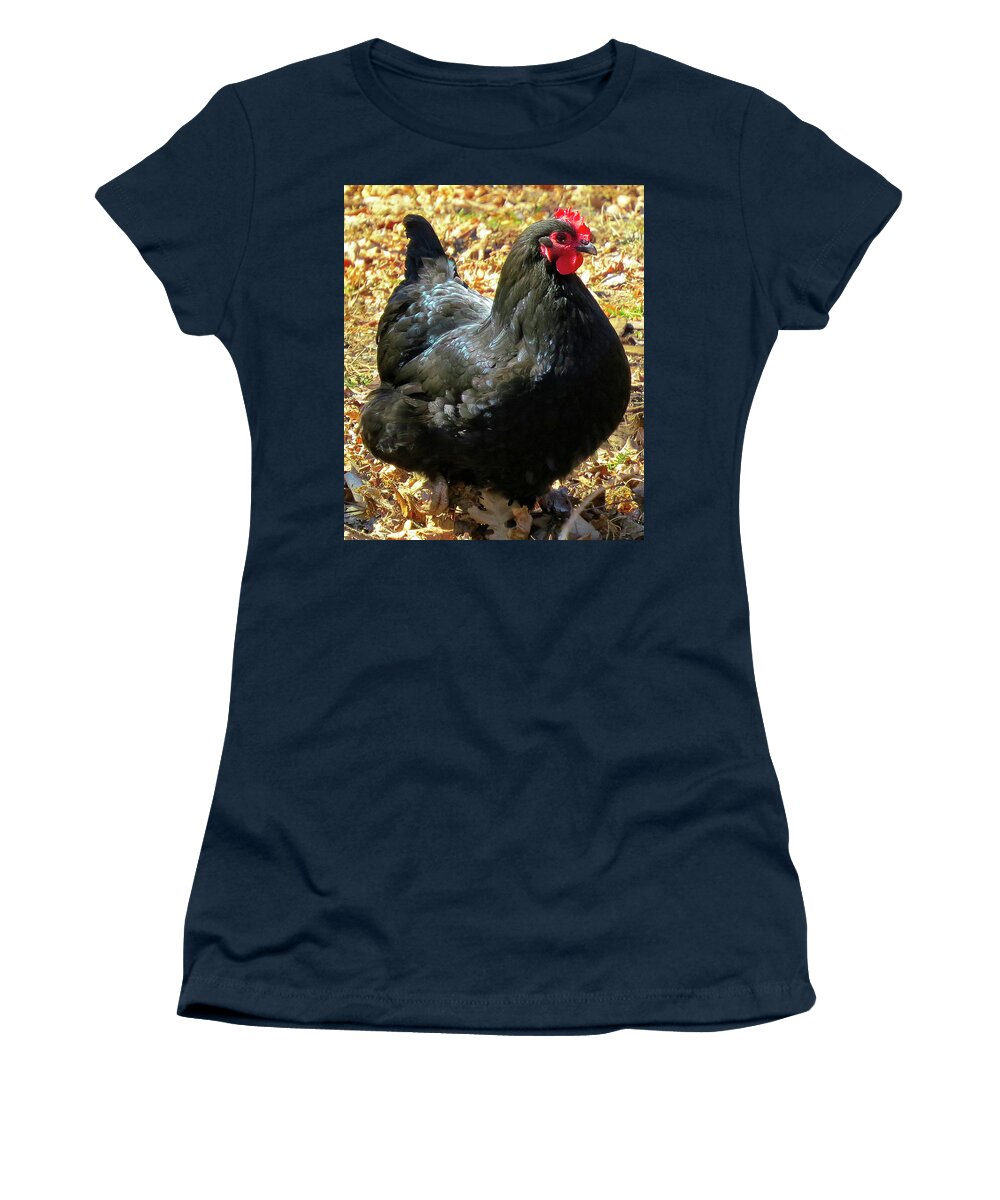 Black Chickens Women's T-Shirt featuring the photograph Black Jersey Giant by Linda Stern