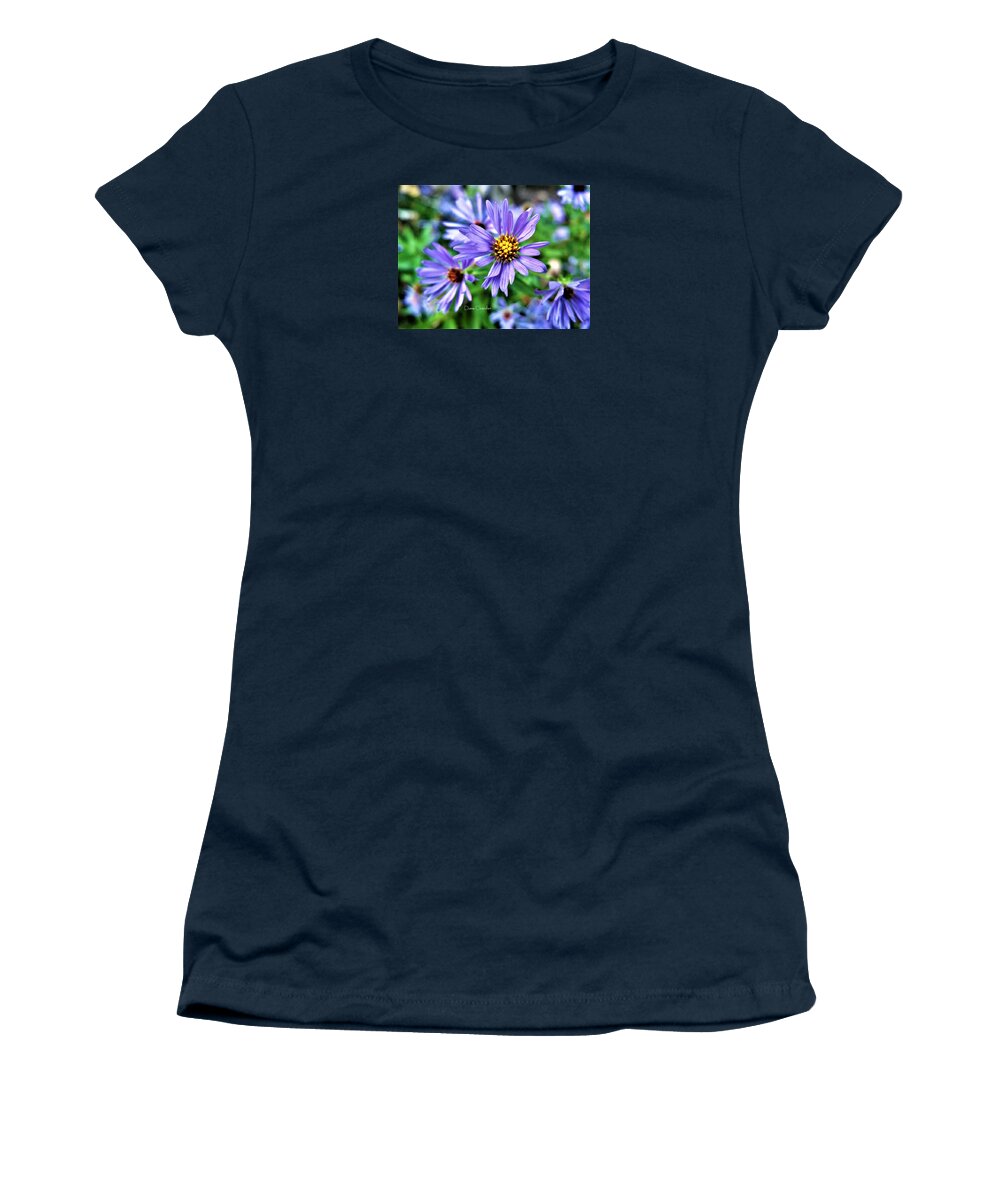 Flowers Women's T-Shirt featuring the photograph Blue Aster by Diane Chandler