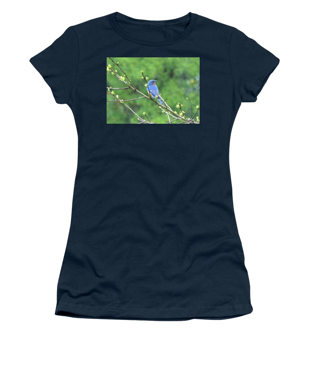 Birds Women's T-Shirt featuring the photograph Bluebird Sitting Pretty by Karen Stansberry