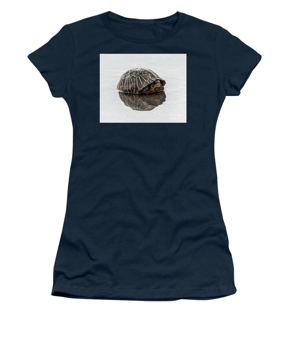 Turtle Women's T-Shirt featuring the photograph Box turtle in a puddle by Rodney Cammauf