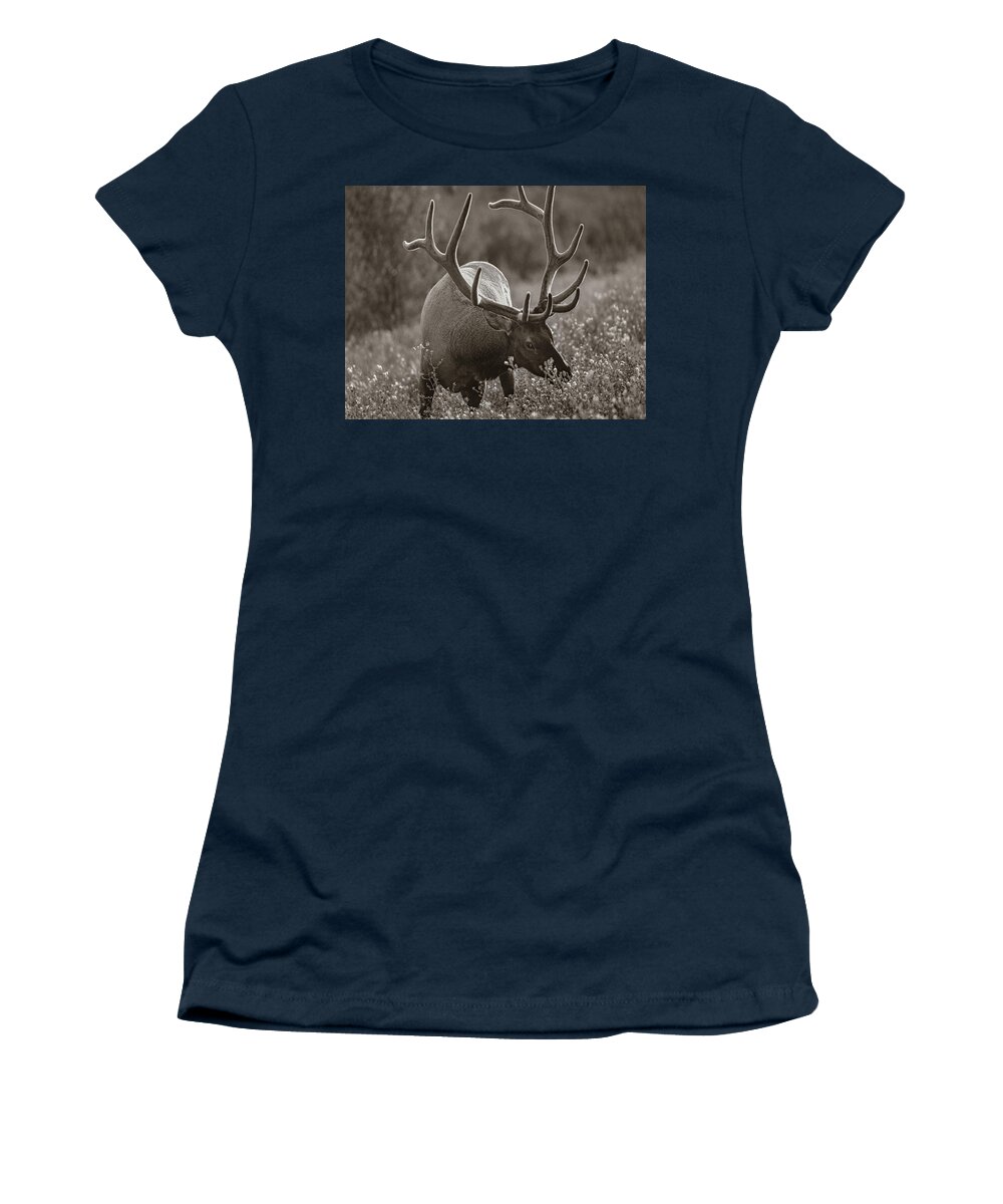 Disk1215 Women's T-Shirt featuring the photograph Bull Elk In Banff National Park by Tim Fitzharris