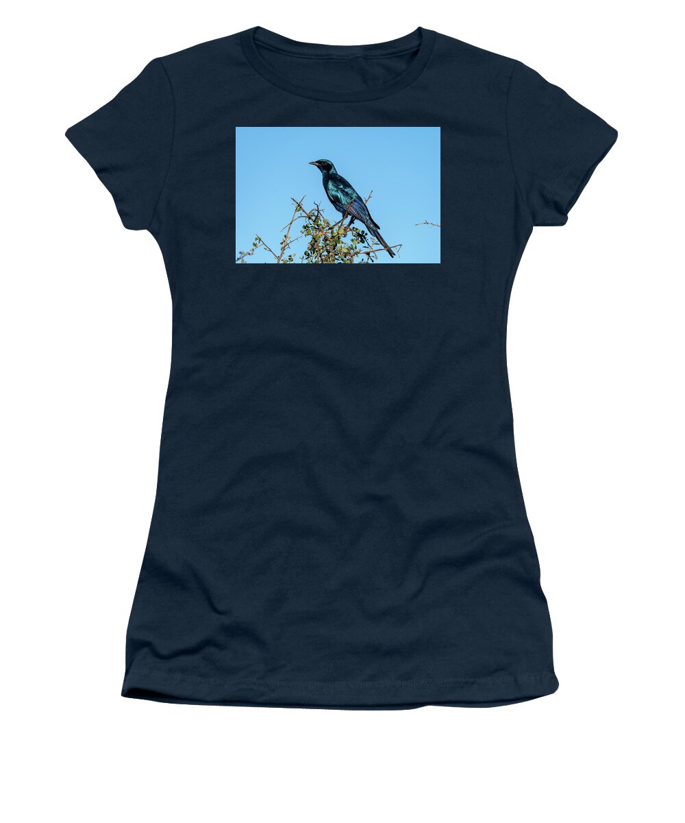 Burchell's Starling Women's T-Shirt featuring the photograph Burchell's Starling by Mark Hunter