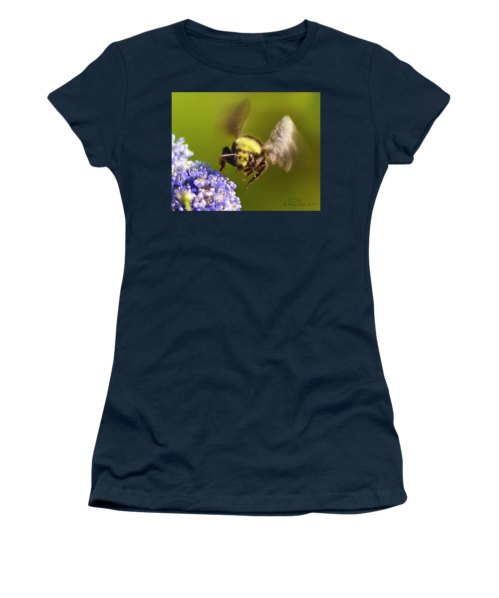 Bumblebee Women's T-Shirt featuring the photograph Busy as a Bumblebee by Brian Tada