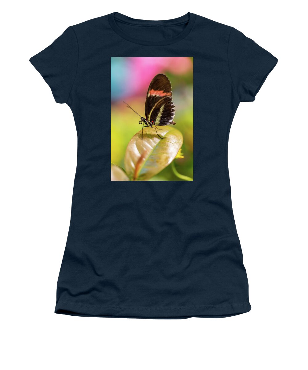 Butterfly Women's T-Shirt featuring the photograph Butterfly by John Randazzo