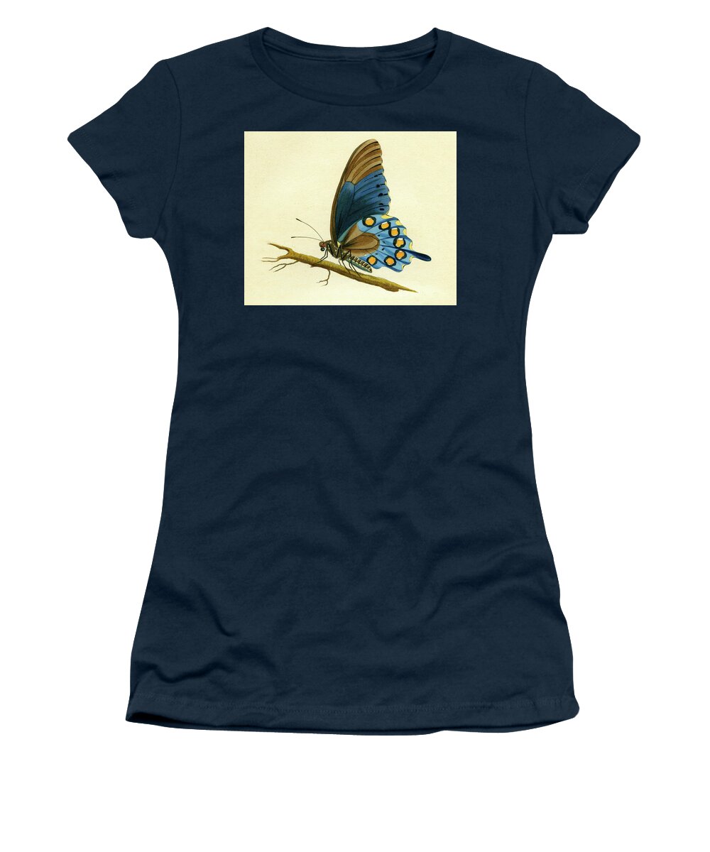 Entomology Women's T-Shirt featuring the mixed media butterfy detail - Papilio Philenor by Unknown