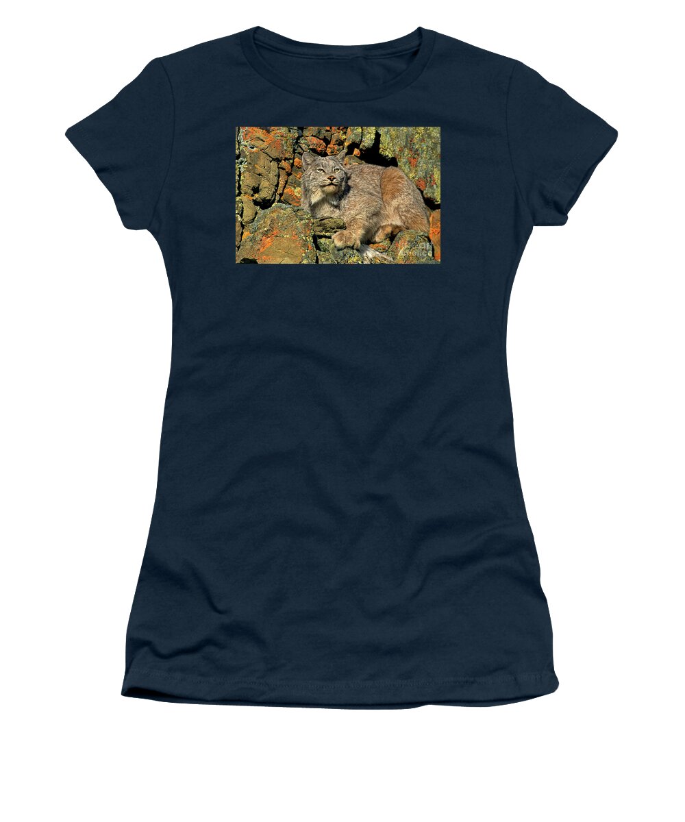 Canadian Lynx Women's T-Shirt featuring the photograph Canadian Lynx on Lichen-covered Cliff Endangered Species by Dave Welling