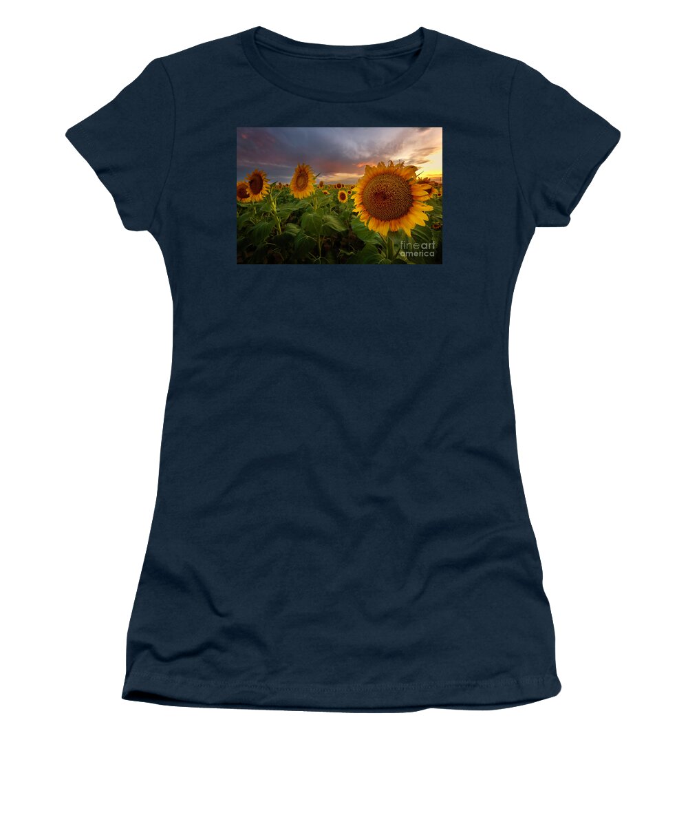 Sunflower Fields Women's T-Shirt featuring the photograph Close up of the Sunflower Fields at sunset by Ronda Kimbrow