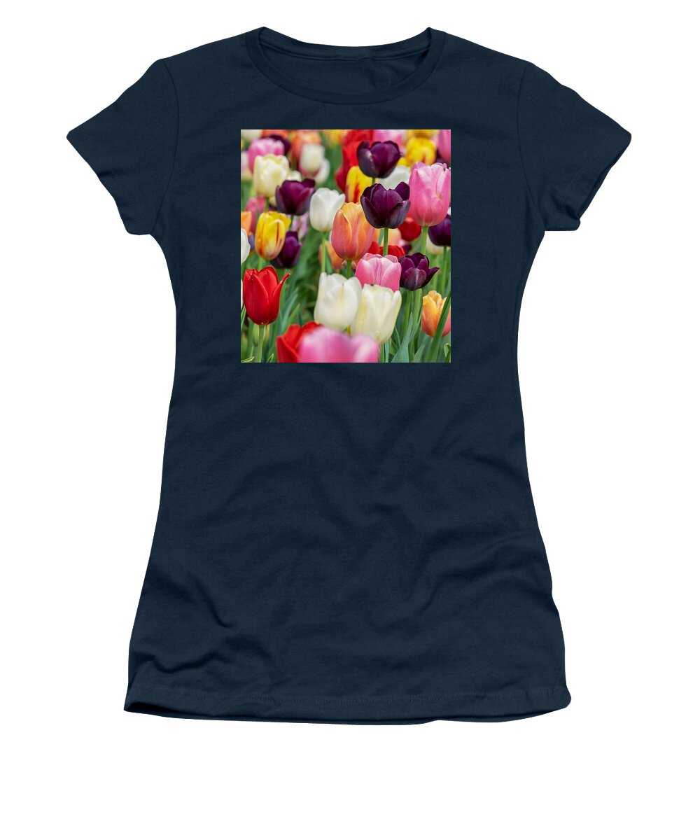 Cute Women's T-Shirt featuring the photograph Colour tulips by Top Wallpapers