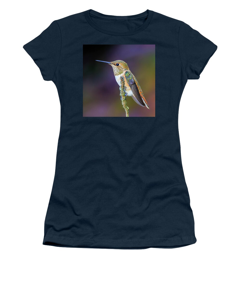 Animal Women's T-Shirt featuring the photograph Contemplation II - Rufous Hummingbird by Briand Sanderson