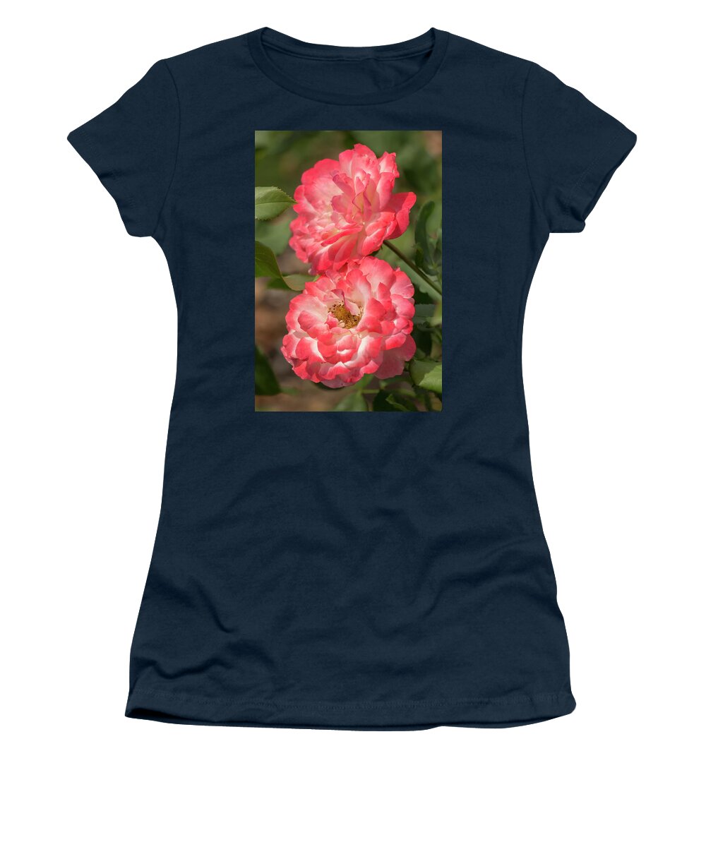 Rose Women's T-Shirt featuring the photograph Coral-and-White Roses by Dawn Cavalieri