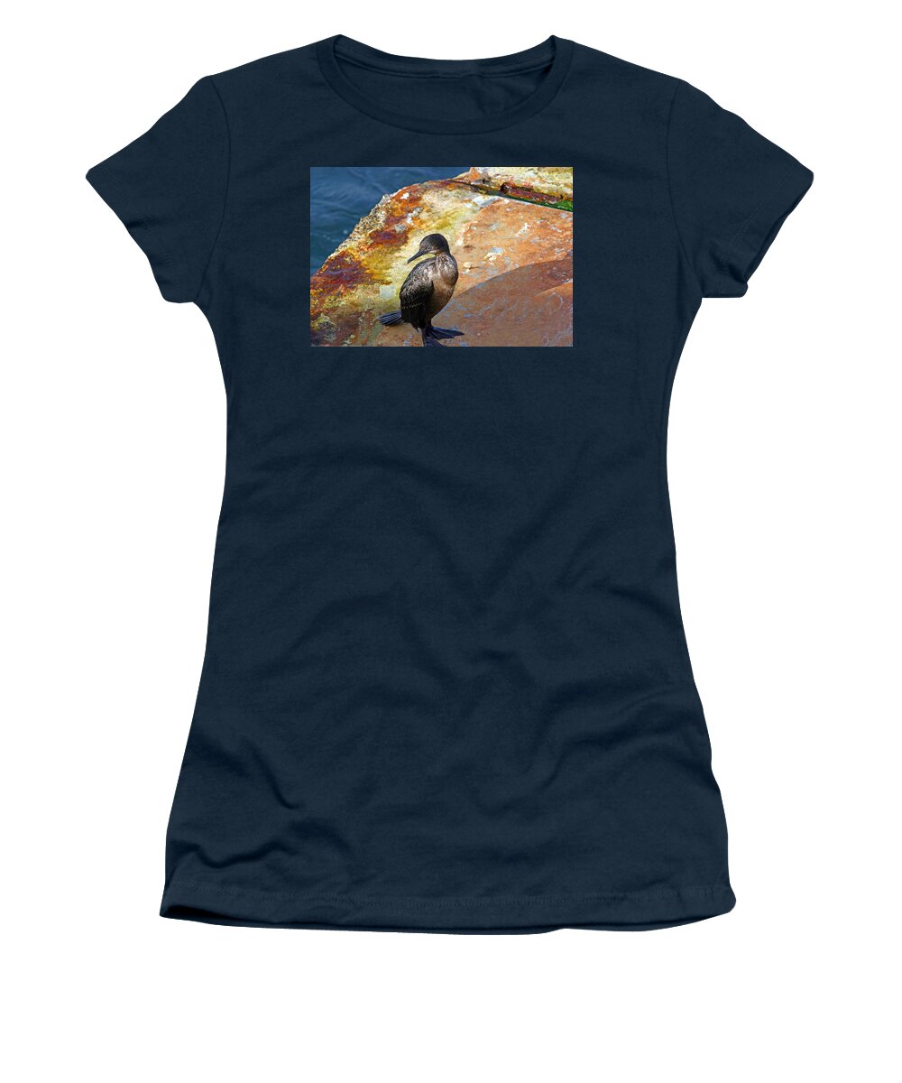 Cormorant Women's T-Shirt featuring the photograph Double-Crested Cormorant by Anthony Jones