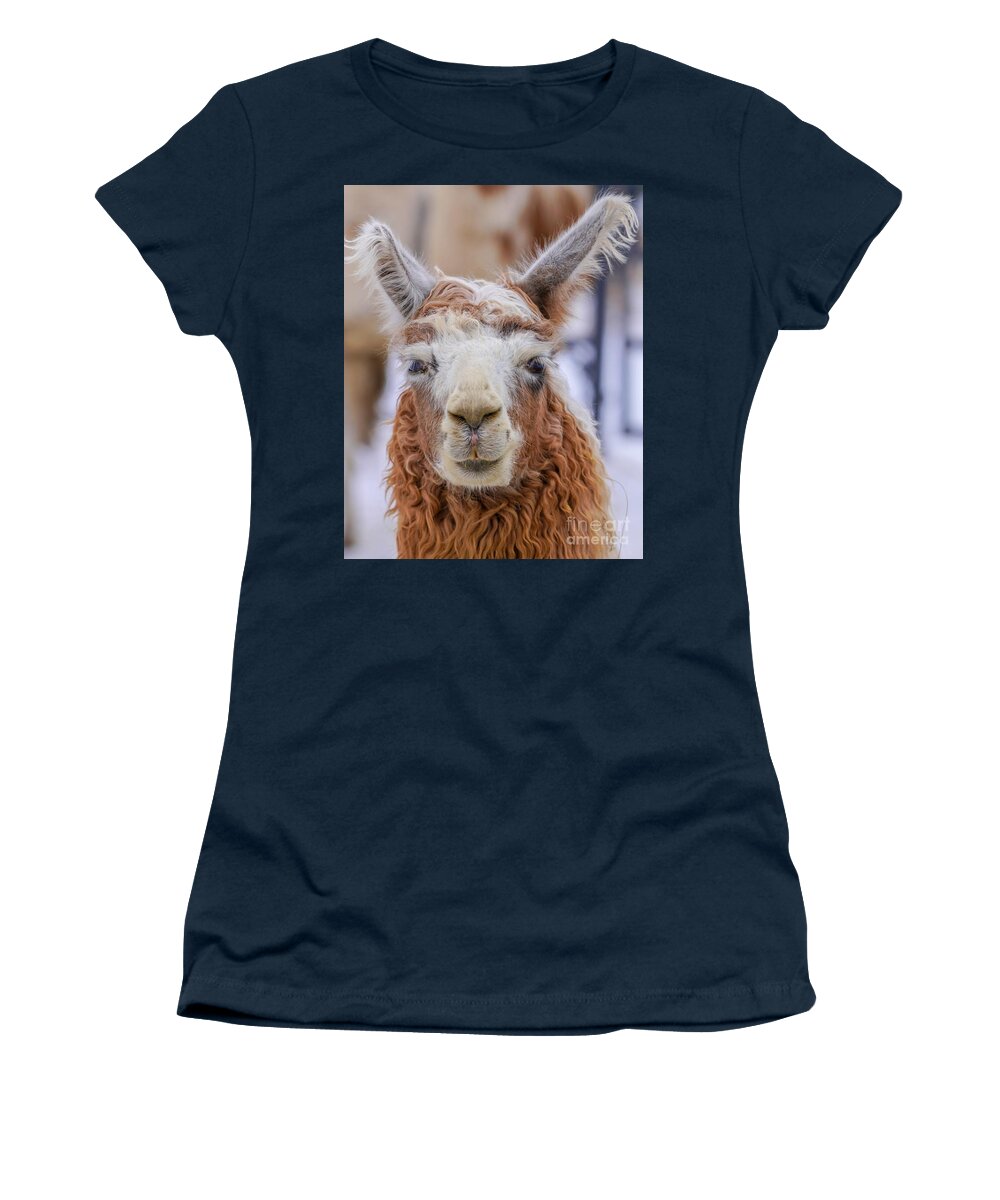 Llama Women's T-Shirt featuring the photograph Cute Llama by Susan Rydberg