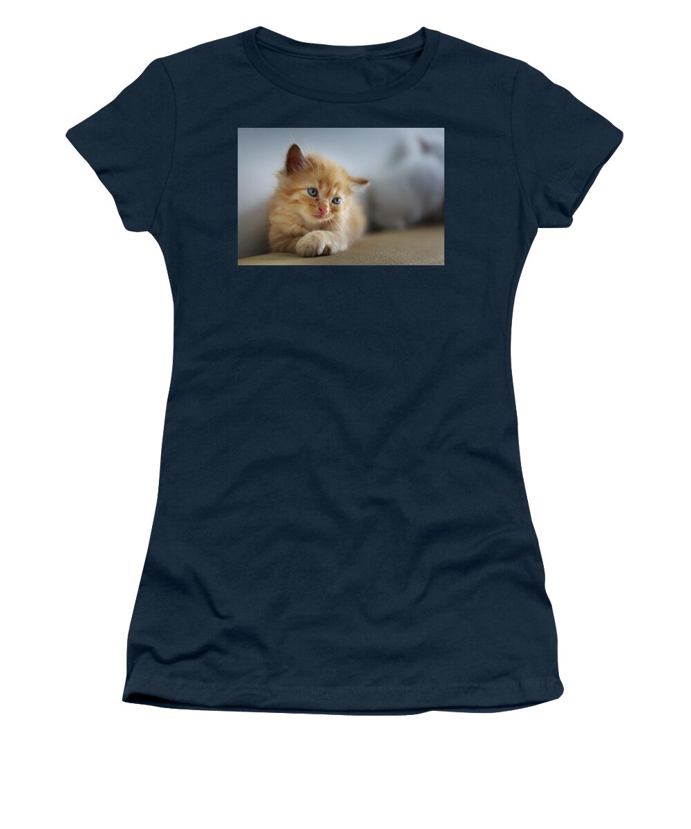 Cat Women's T-Shirt featuring the photograph Cute orange kitty by Top Wallpapers
