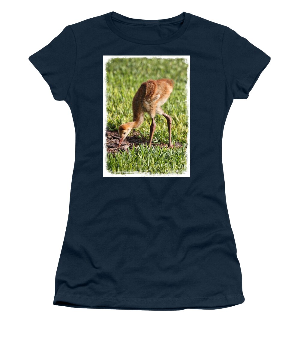 Sandhill Crane Women's T-Shirt featuring the photograph Cute Sandhill Colt with Border by Carol Groenen