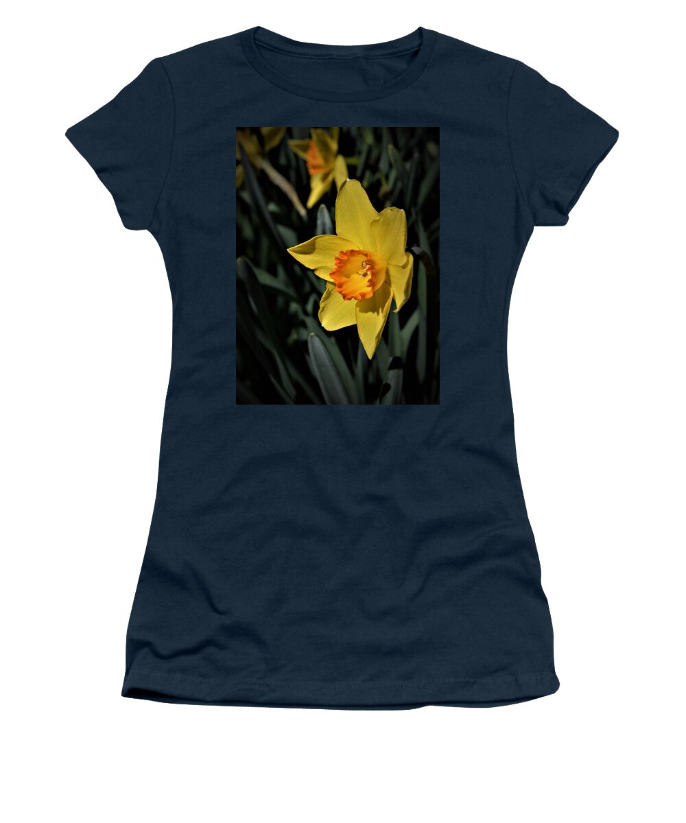 Daffodil Garden Women's T-Shirt featuring the photograph Daffodil Garden by Warren Thompson