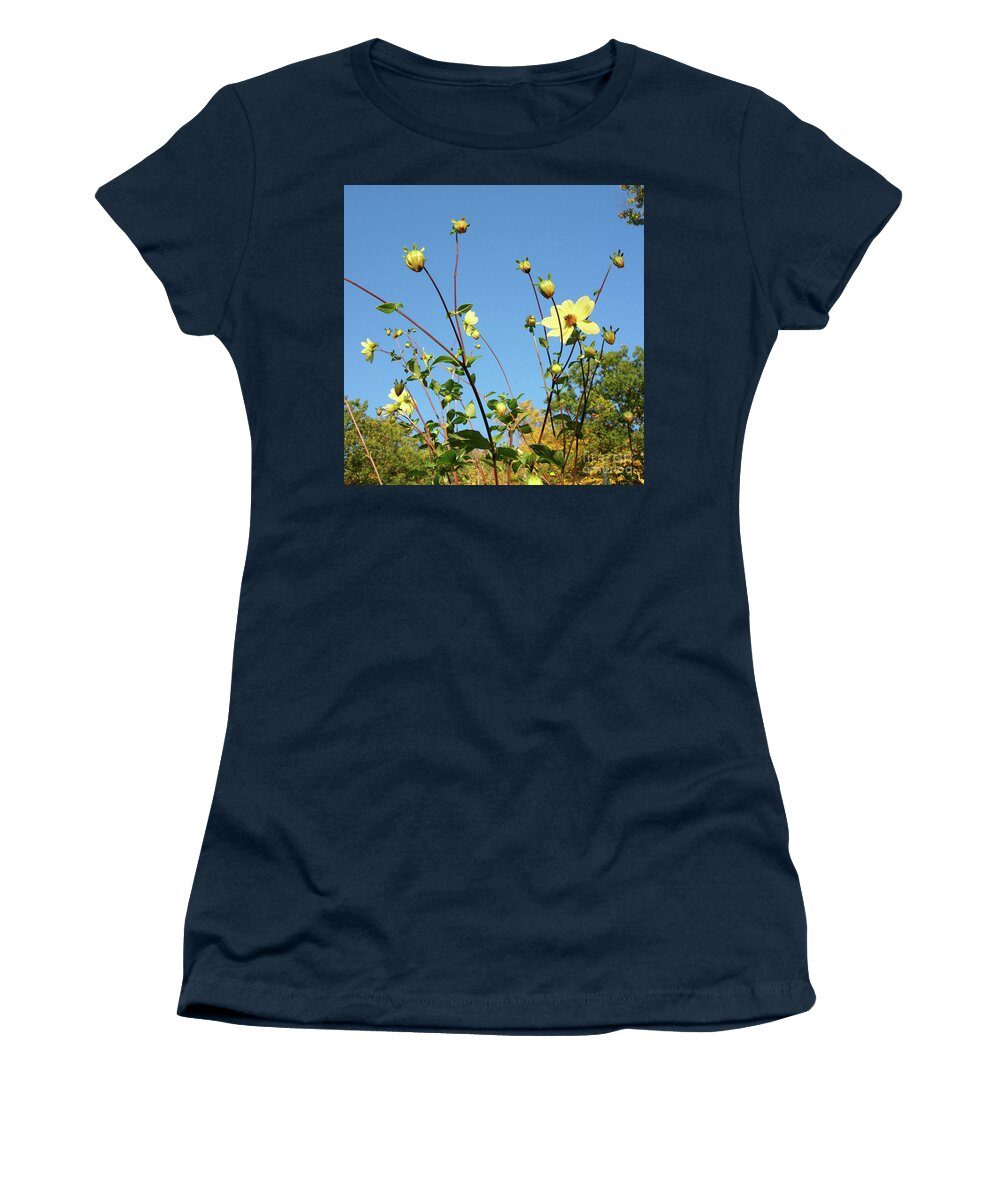 Dahlia Women's T-Shirt featuring the photograph Dahlia 11 by Amy E Fraser