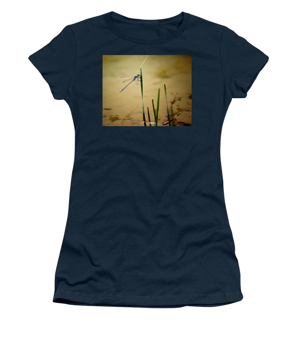 Damselfly Women's T-Shirt featuring the photograph Damselfly Familiar Bluet by Laura Vilandre