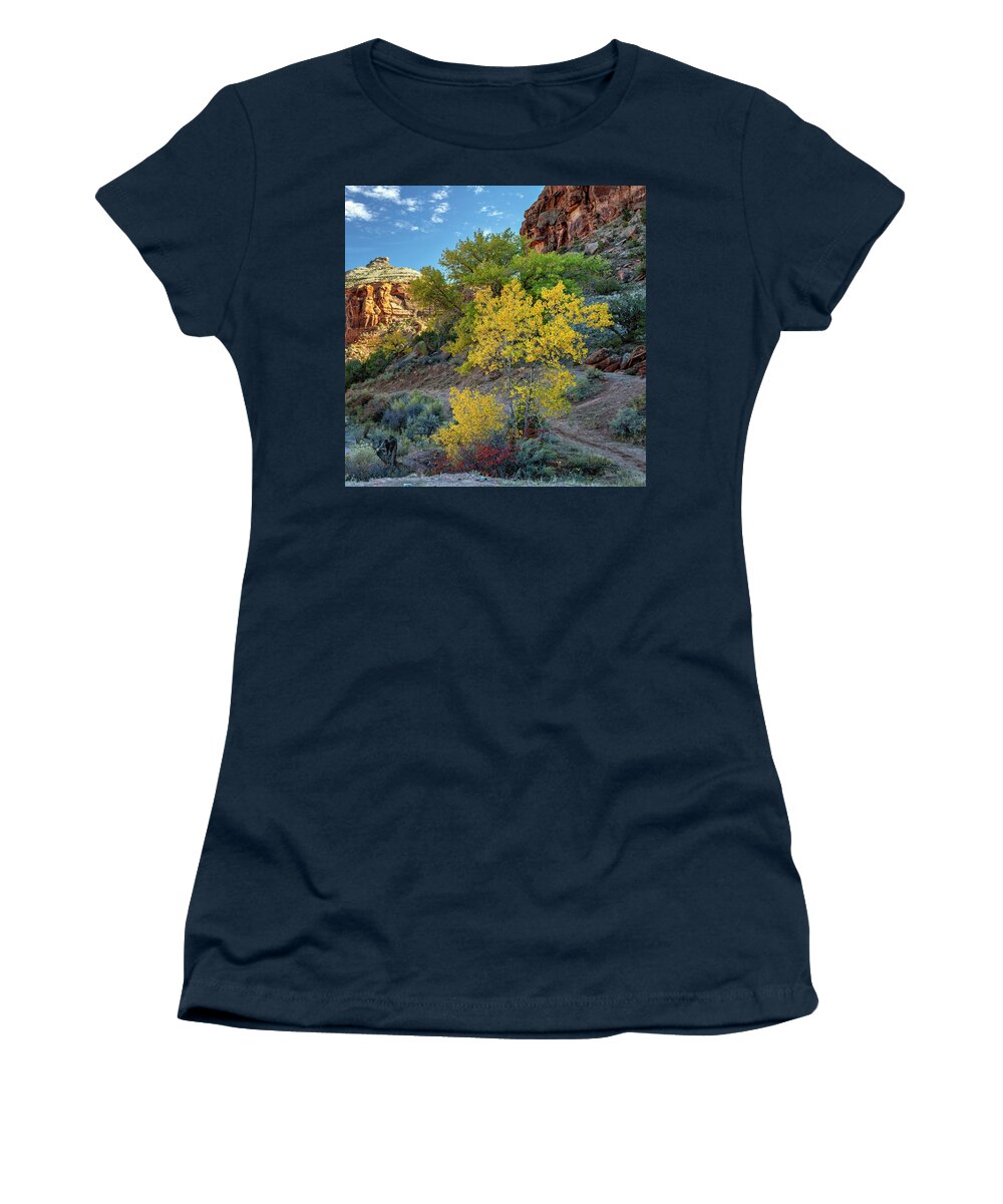 Dominguez Canyon Women's T-Shirt featuring the photograph Dominguez Gold by Angela Moyer