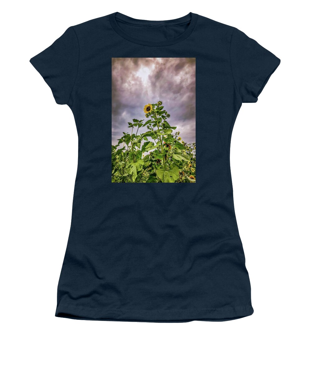 Sunflower Women's T-Shirt featuring the photograph Dramatic Sunflower by Anamar Pictures