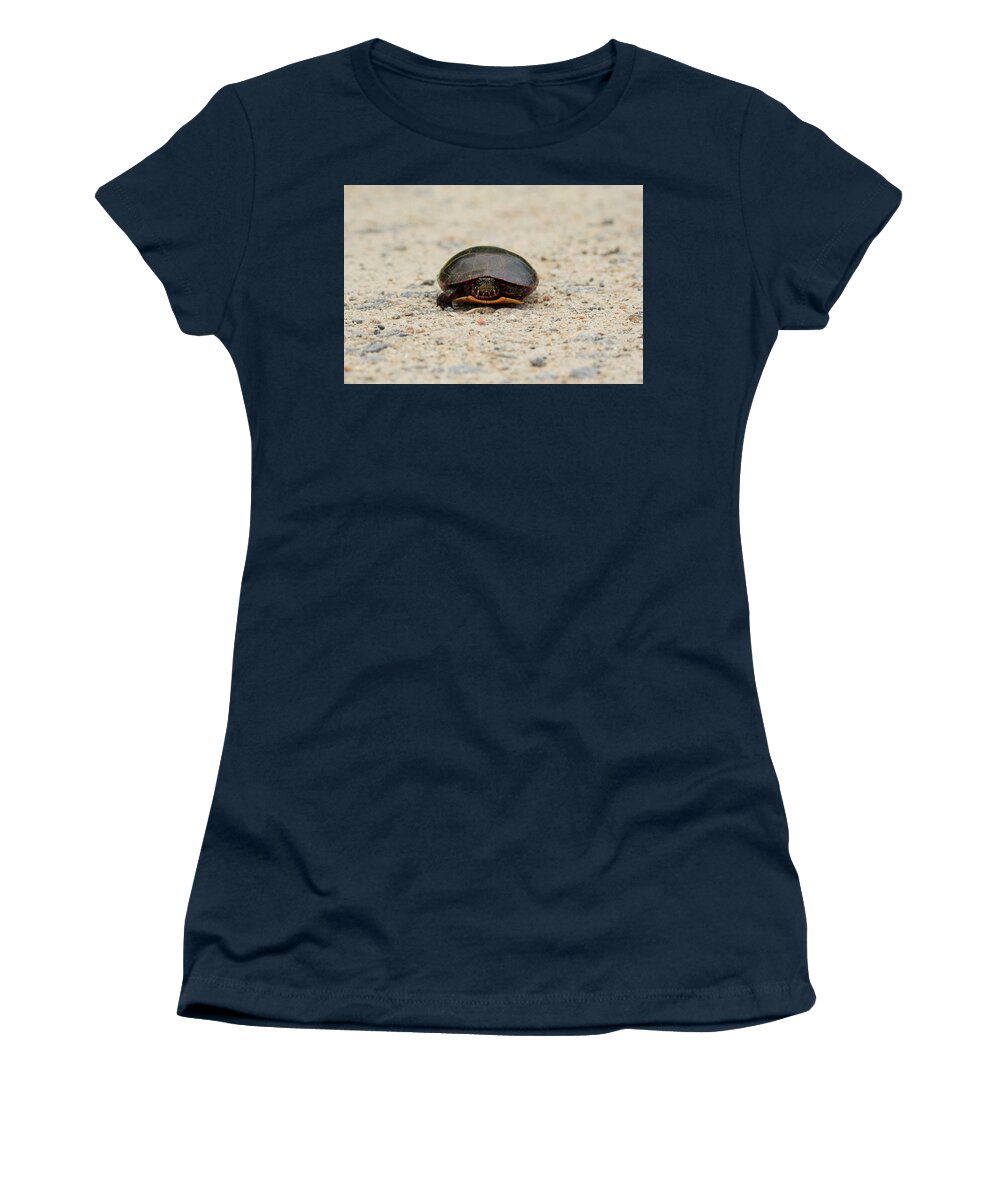 Eastern Red-bellied Turtle Women's T-Shirt featuring the photograph Eastern Red-Bellied Turtle by Rose Guinther