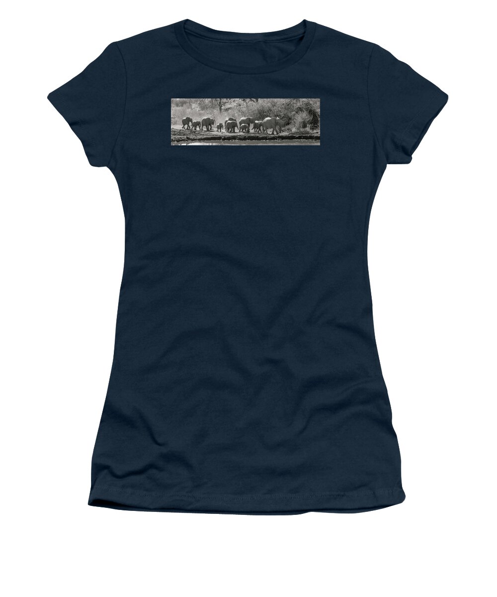 Elephant Women's T-Shirt featuring the photograph African Elephants Approaching by Mark Hunter