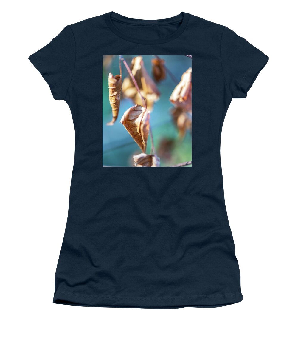 Leaves Women's T-Shirt featuring the photograph Nature Photography - Fall Leaves #1 by Amelia Pearn