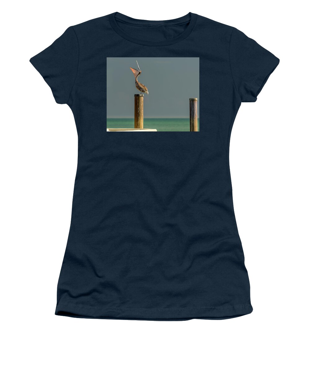 Key West Florida Women's T-Shirt featuring the photograph Feed Me by Norman Peay