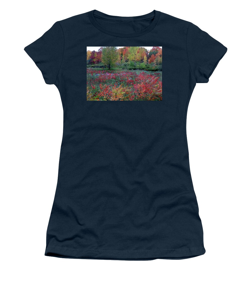 Field Of Fall Colors Women's T-Shirt featuring the photograph Field of Fall Colors by David T Wilkinson