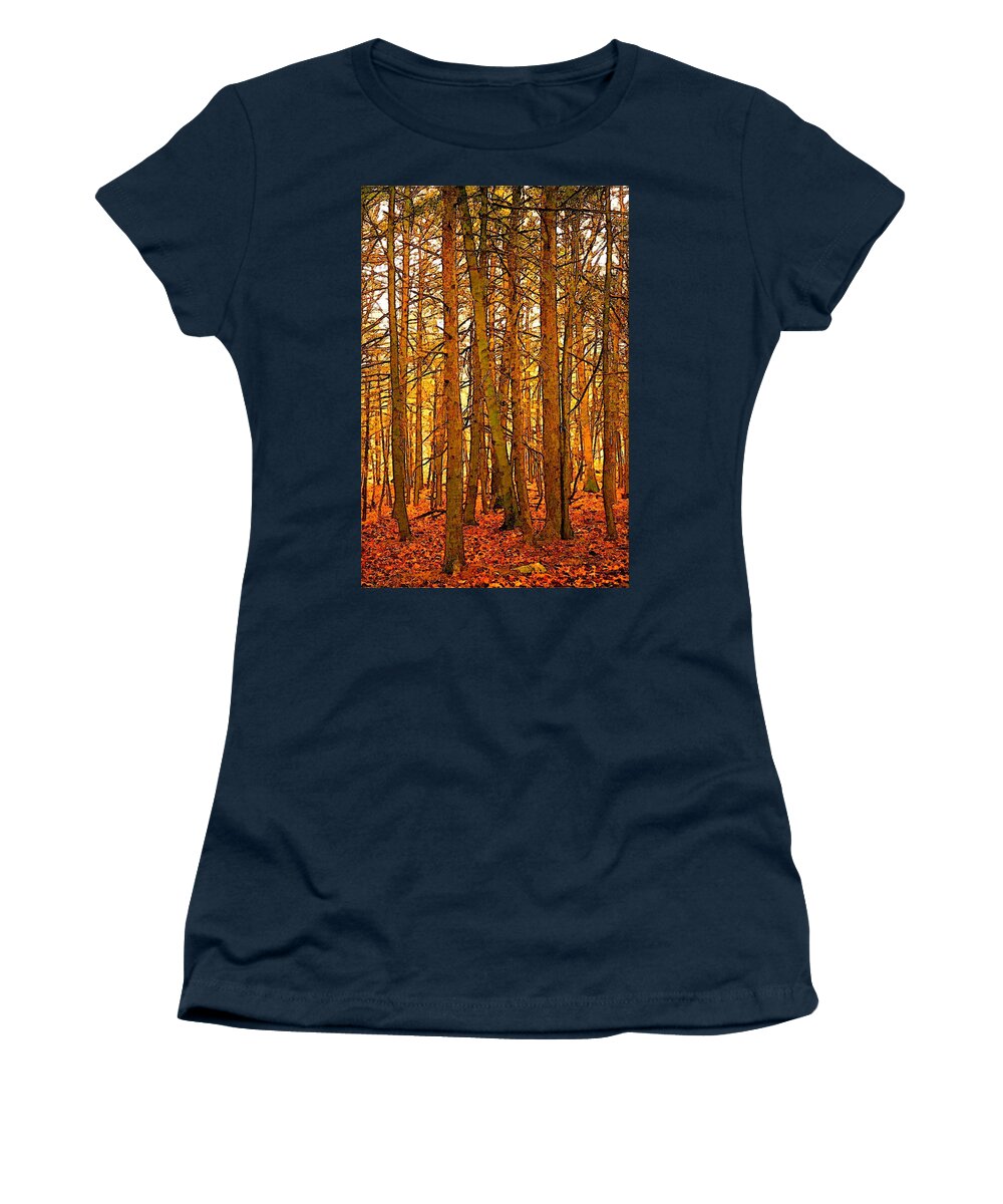 Tree Women's T-Shirt featuring the photograph Gold Forest by Robert Bissett