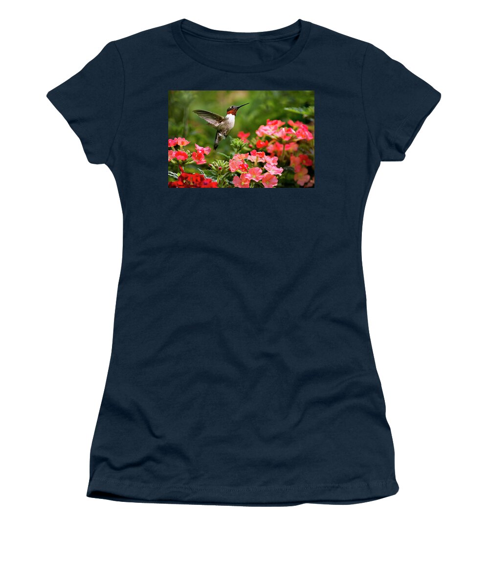 Hummingbird Women's T-Shirt featuring the photograph Graceful Garden Jewel by Christina Rollo